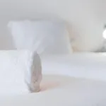 Boavista 波尔图
